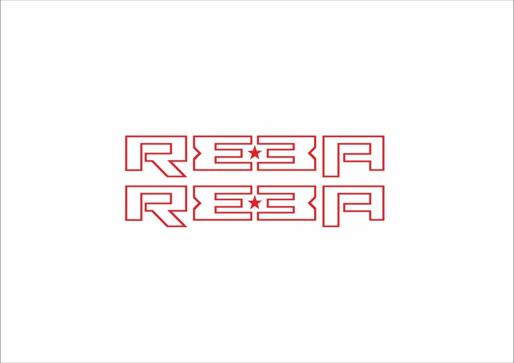 Rock Shox REBA 2006 Fork Decal Mountain Bike Cycling Sticker Adhesive Red #2 - 1