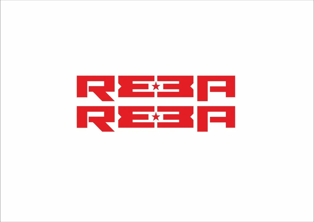 Rock Shox REBA 2006 Fork Decal Mountain Bike Cycling Sticker Adhesive Red #1 - 1
