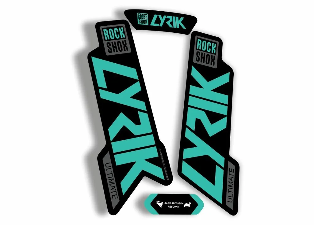 Rock Shox Lyrik Ultimate 2020 Fork Decal Bike Cycling Sticker Dolphin Gray - 1